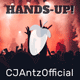Hands-Up Template For FL Studio (Dan Winter Style)