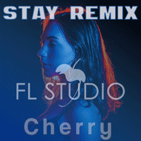 Guetta Stay Remix FL Studio Template