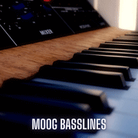 Moog Basslines Sample Pack