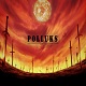 Polluks profile avatar