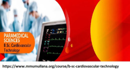Bsc cardiovascular technology eligibility