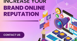 Cheap Online Reputation Management Services