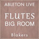 Flutes - Big Room EDM Ableton Project
