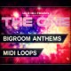 THE ONE: Bigroom Anthems Loops