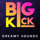 Big Kick - Big Room Kicks Sample Pack Vol. 1