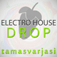 FL Studio Electro House Drop Template