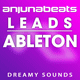Anjunabeats Style Leads Ableton Template