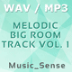 Melodic Big Room Track Vol. 1