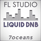 Liquid DnB FL Studio Template (Lenzman Style)