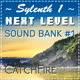 Next Level Sound Bank Vol. 1 (By CatchFire)