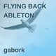 Flying Back - Uplifting Trance Ableton Project