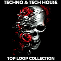 Techno & Tech House Top Loop Collection