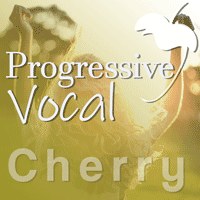 Progressive Vocal EDM FL Studio Template