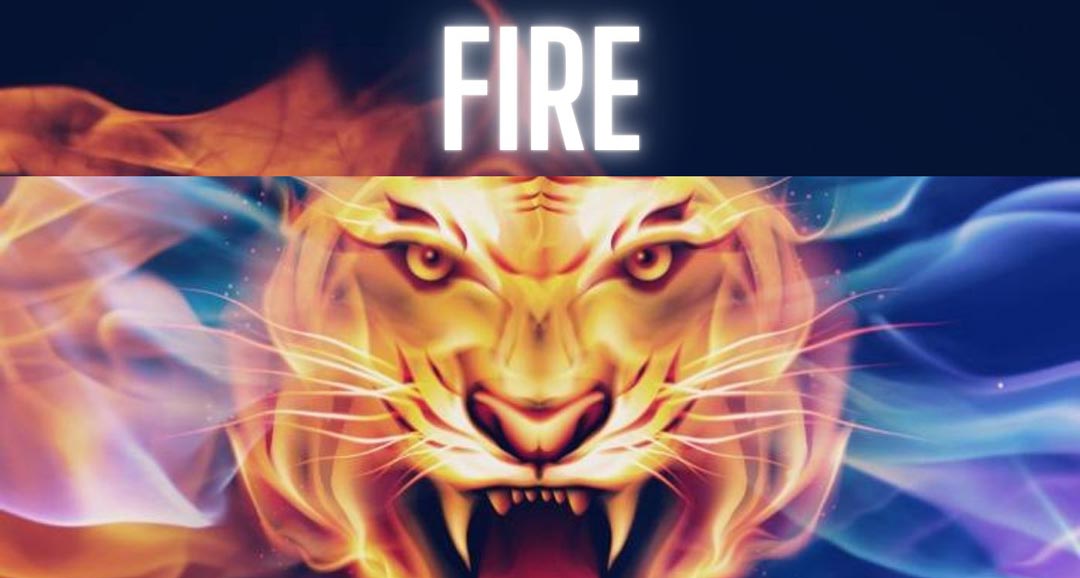 Fire - Trap FL Studio Templates Bundle (3 in 1)