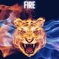 Fire - Trap FL Studio Templates Bundle (3 in 1)