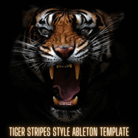 Tiger Stripes Style Ableton Live Template by Innovation Sounds