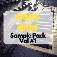 Moog Bassline Sample Pack