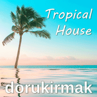 Tropical House FL Studio Template Vol. 1