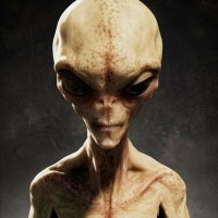 FredBlitz profile avatar