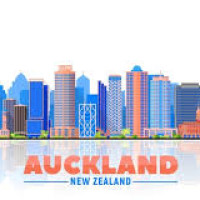 auckland profile avatar