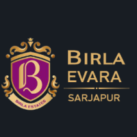 birlaevara profile avatar