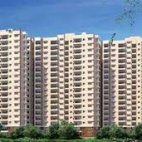 PrestigeEvergreenPrice profile avatar