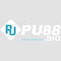 pu88bio profile avatar