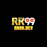 rr99dev profile avatar
