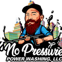 nopressurepowerwashing profile avatar