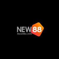 new88zinfo profile avatar