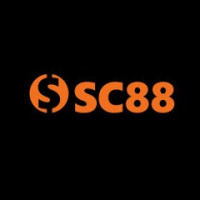 sc88seocom profile avatar