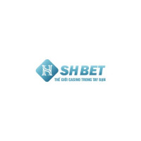 shbet800comm profile avatar