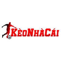 tylekeonhacaitv profile avatar