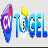 cvtogel profile avatar