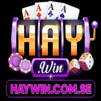 haywincomse profile avatar